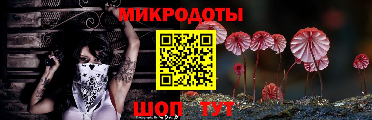 Галлюциногенные грибы мицелий  Вход с VPN  Павловский Посад 